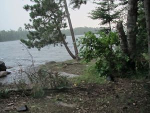 IMG_0124.jpg