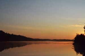 Foggy Sunrise