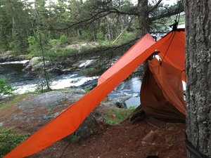 Lower Bass Hammock