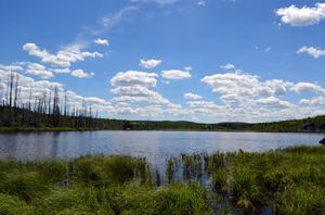 Meditation Portage Landing