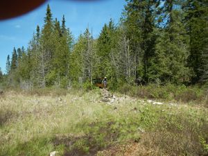 2015 Brule North Loop Portage End at North Grassy Lake