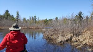 Paddling the creek