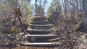 MG Site Stairs