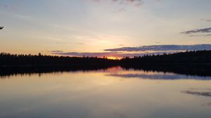 Sunset of Fat