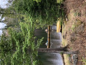 Carl Lake Campsite