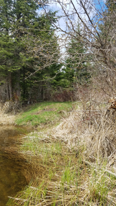 Landing on Pigeon River