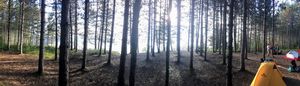 Site looking towards lake