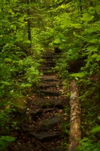 Staircase on the portage