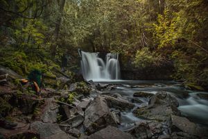 Johnson falls