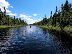 Paddling Allen Lake