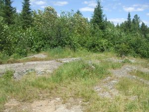 open area.JPG