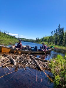 Beaver dam portage