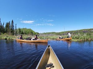 Pulling up to beaver dam portage