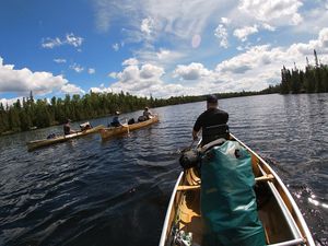 Paddling Poplar