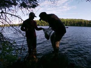 Netting dinner