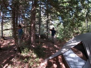 Gathering firewood