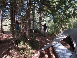 Gathering firewood