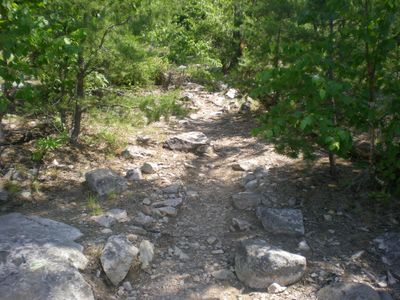 Path to campsite