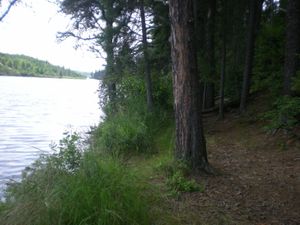 Paths along shore