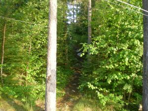 Steep Path to Latrine