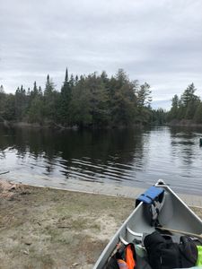Take it all in