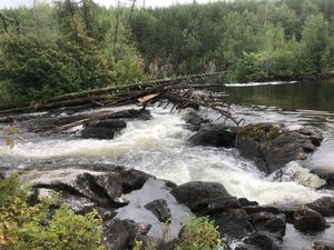 Portage