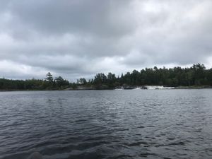 IMG_2651.JPG