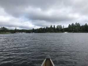 IMG_2654.JPG