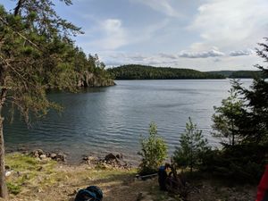 IMG_20190818_172208.jpg