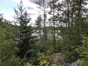 IMG_20190819_144140.jpg