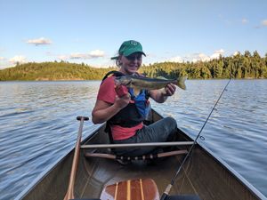 Walleye