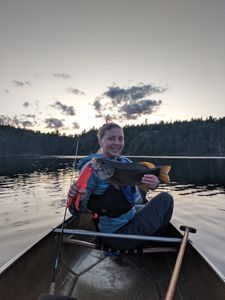 20-1/2" smallie