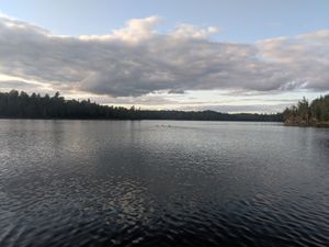 IMG_20190822_190607.jpg