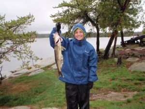 Alpine Walleye