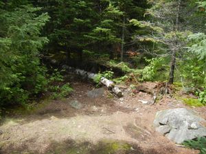 DSCN0108.JPG