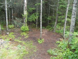 Campsite 644