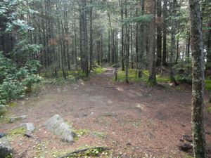 Campsite 643