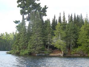 Campsite 641