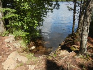 Campsite 645