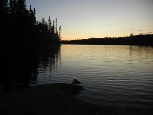 Campsite 645