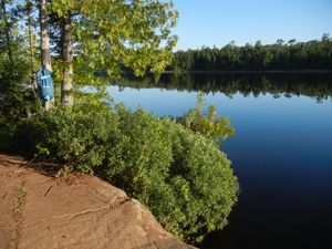 Campsite 645