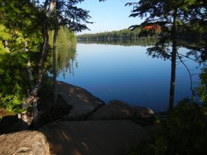 Campsite 645