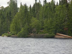 Campsite 645
