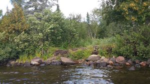 Portage to Bower Trout