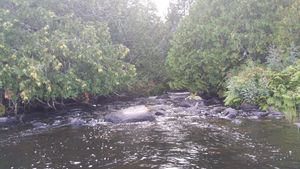 creek from Dugout to Marshall