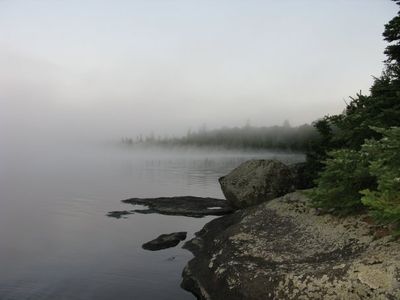 foggy morning in bog