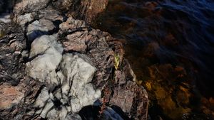 Quartz chunks