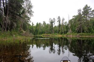 IMG_7219_cc.jpg