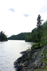 IMG_7295_cc.jpg