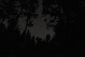 IMG_7471_cc.jpg
